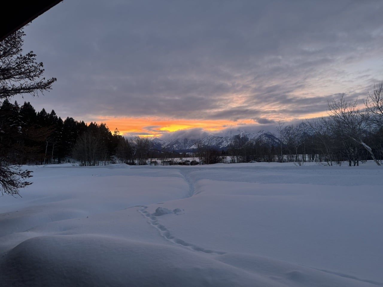 Grand Teton Science CHS Trip
