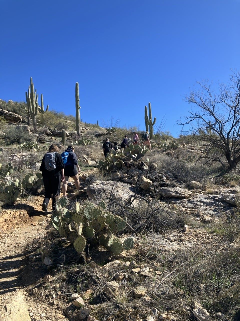 BEST OF 2.18.24 Babad Do'ag Hike